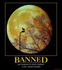 banned-the-hammer-has-fallen-demotivational-poster-1284671541.jpg