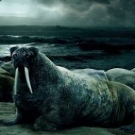 PugWalrus