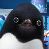 Penguin [P.A]